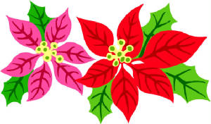 poinsetta.jpg